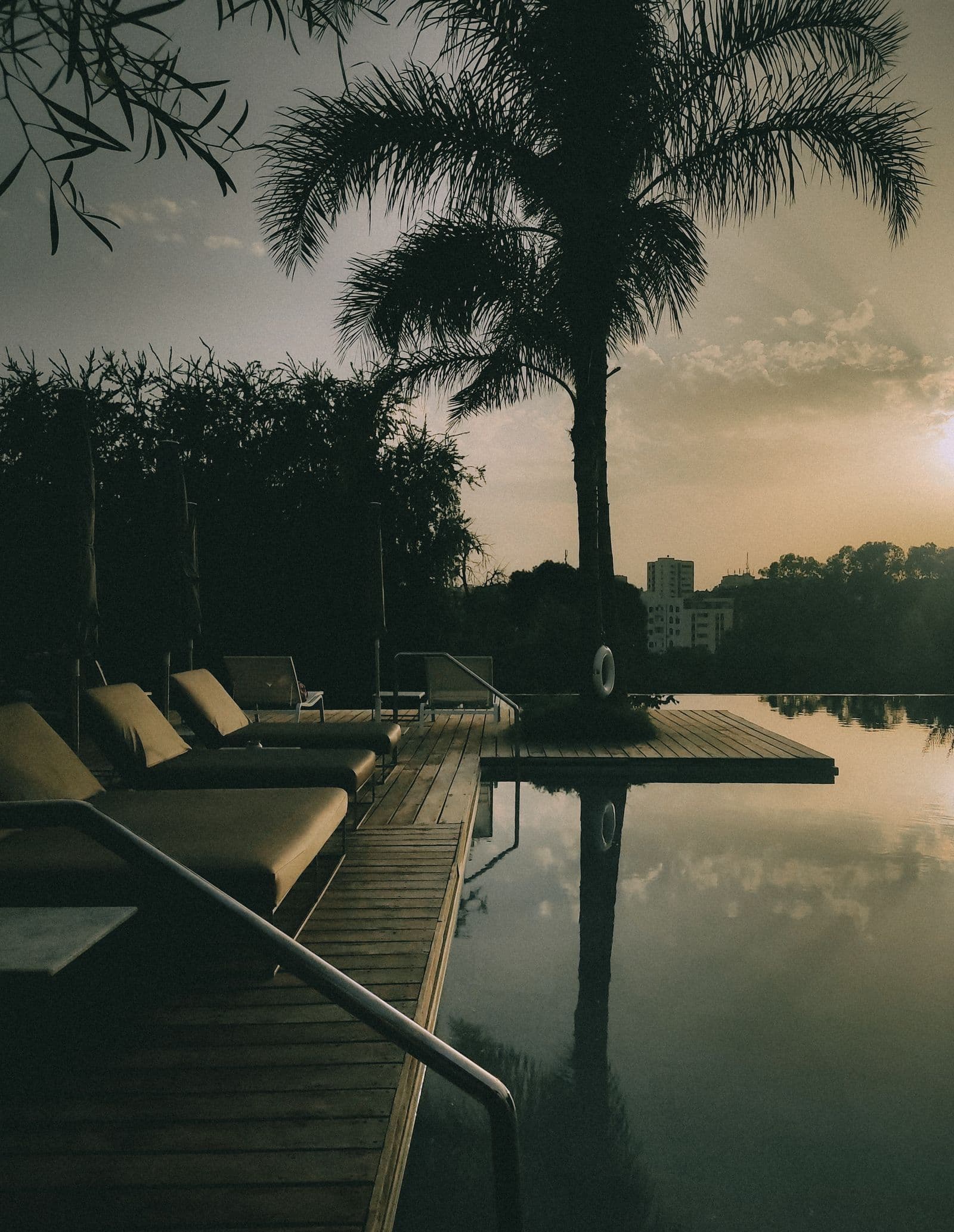 Palms above a quiet pool in late afternoon light